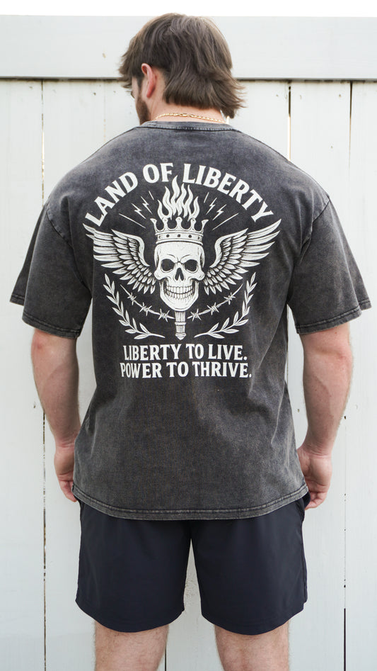 Ultra Hero Oversized Vintage Tee (Foundations)